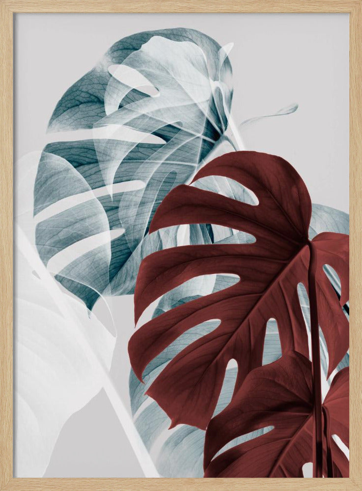 Monstera Creative 18 | Poster