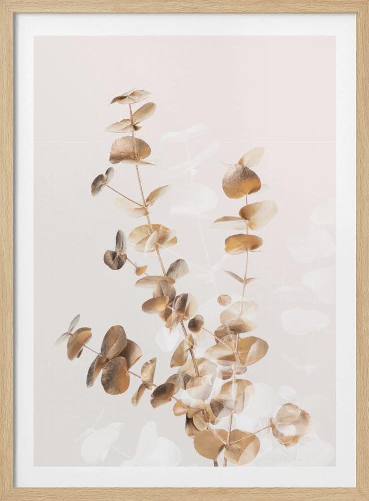 Eucalyptus Creative Gold 03 | Poster