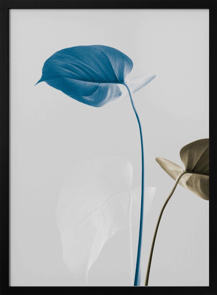 Monstera Creative 19 | Poster