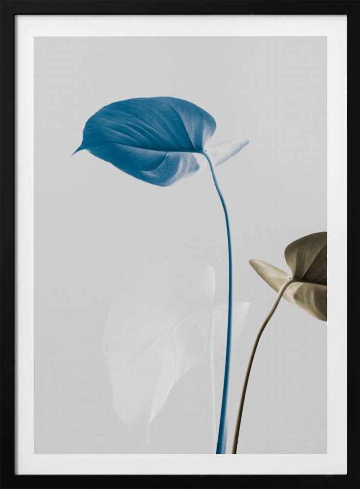 Monstera Creative 19 | Poster