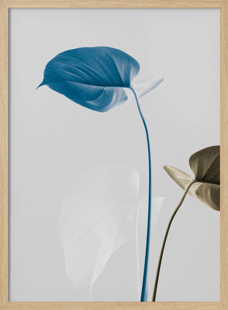 Monstera Creative 19 | Poster