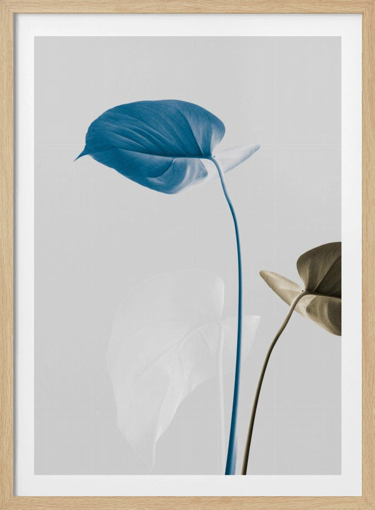 Monstera Creative 19 | Poster