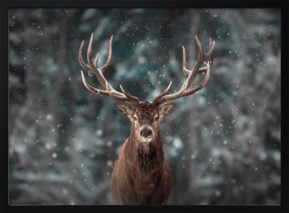 Deer King | Poster