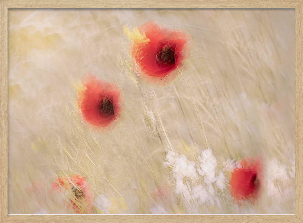 Between the grass | Poster