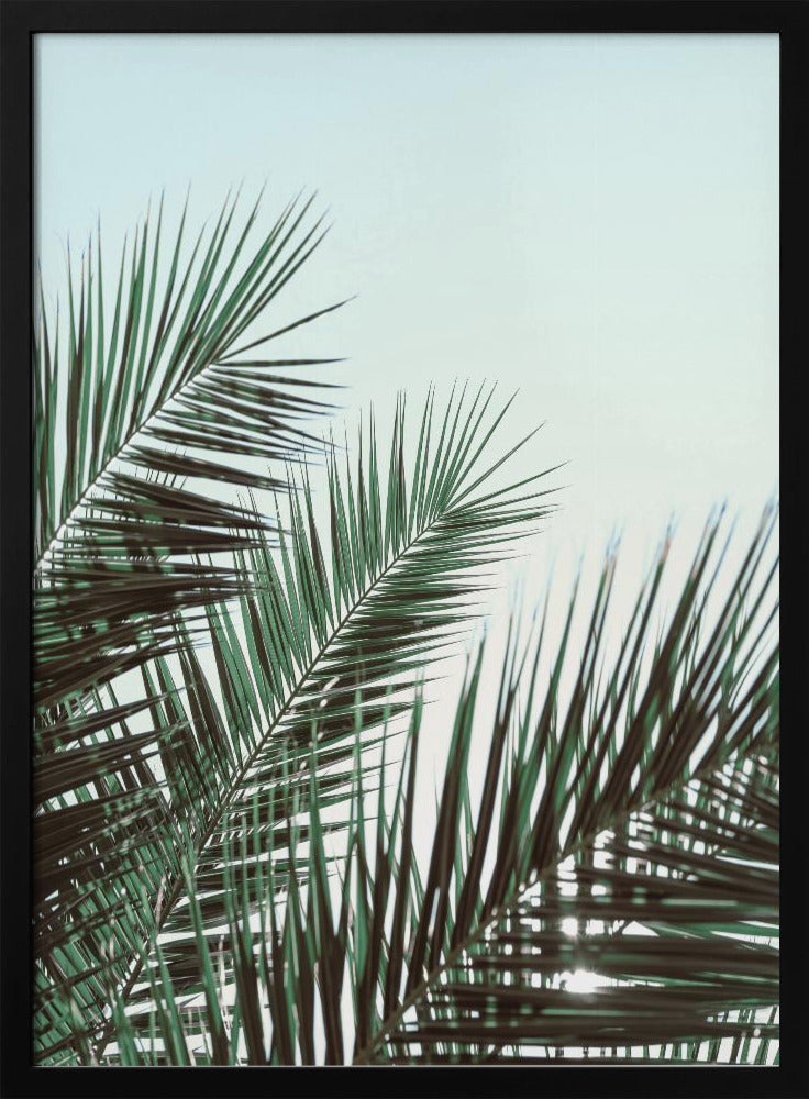 Palm leaves, sky_1 | Poster