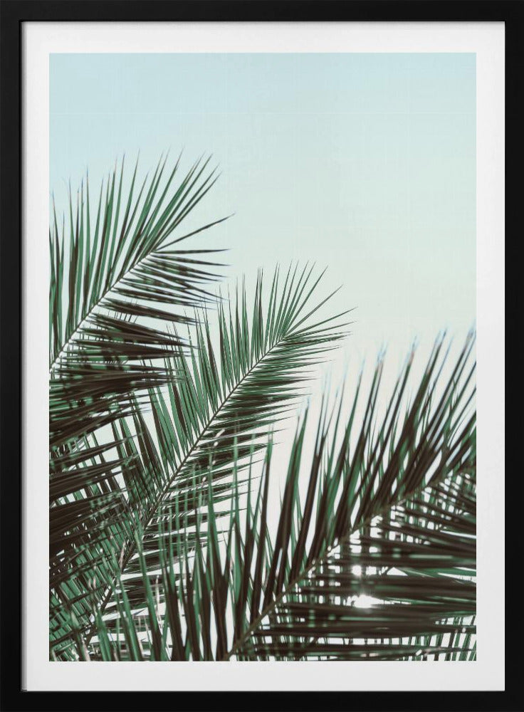 Palm leaves, sky_1 | Poster