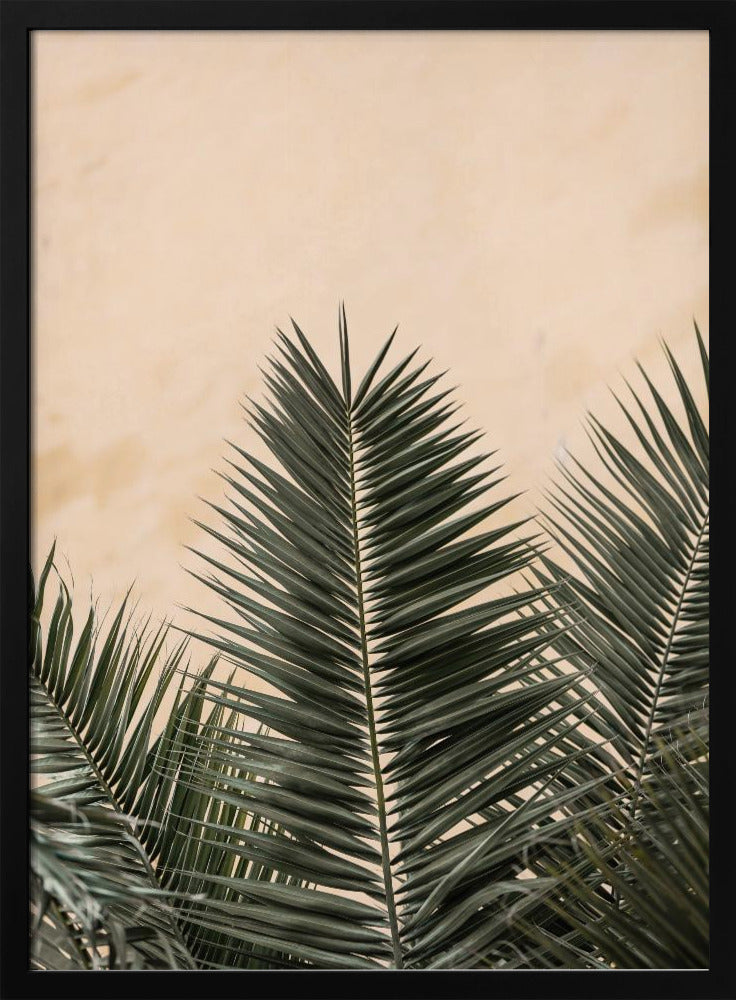 Palm leaves and wall_1 | Poster