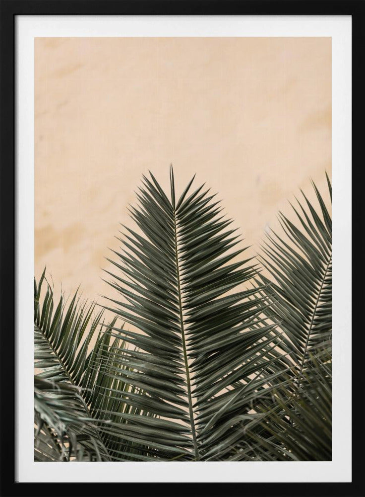 Palm leaves and wall_1 | Poster