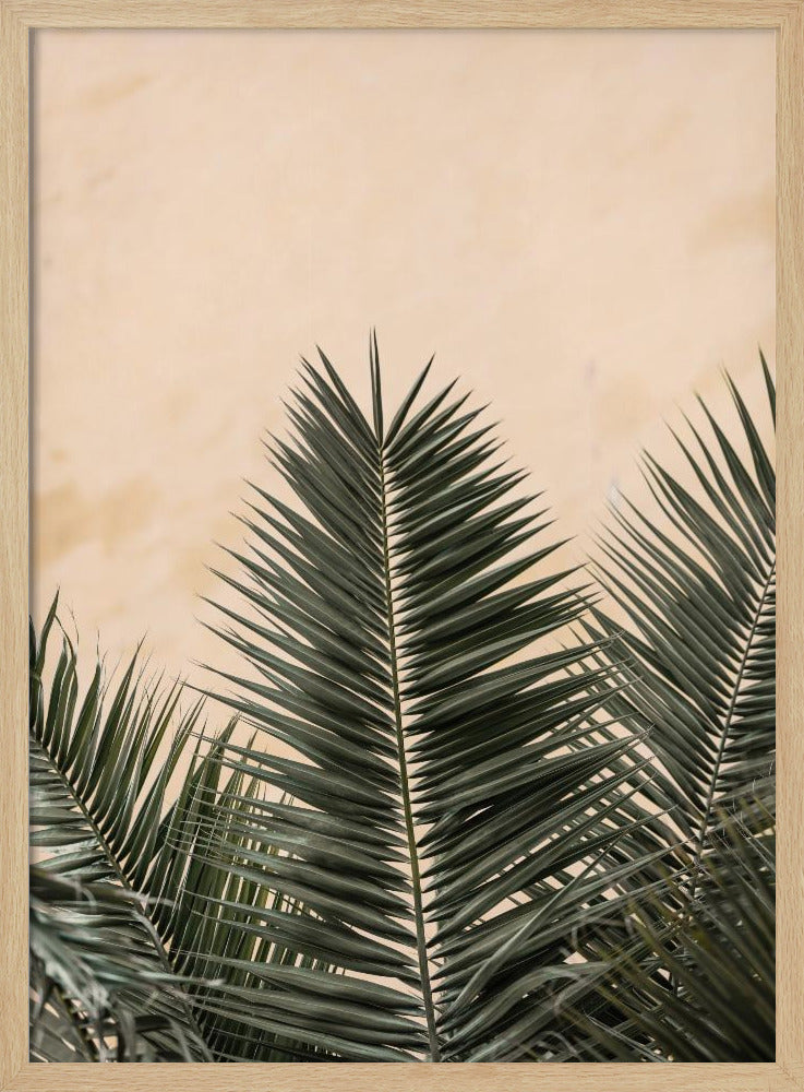 Palm leaves and wall_1 | Poster