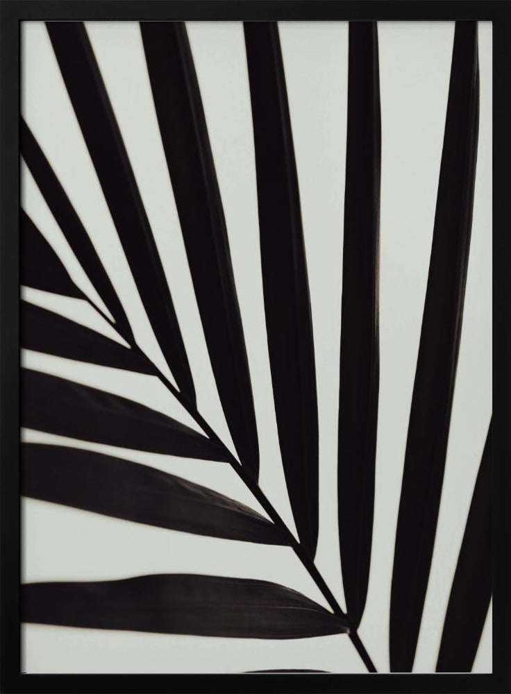 Graphic palm leaf_1 | Poster