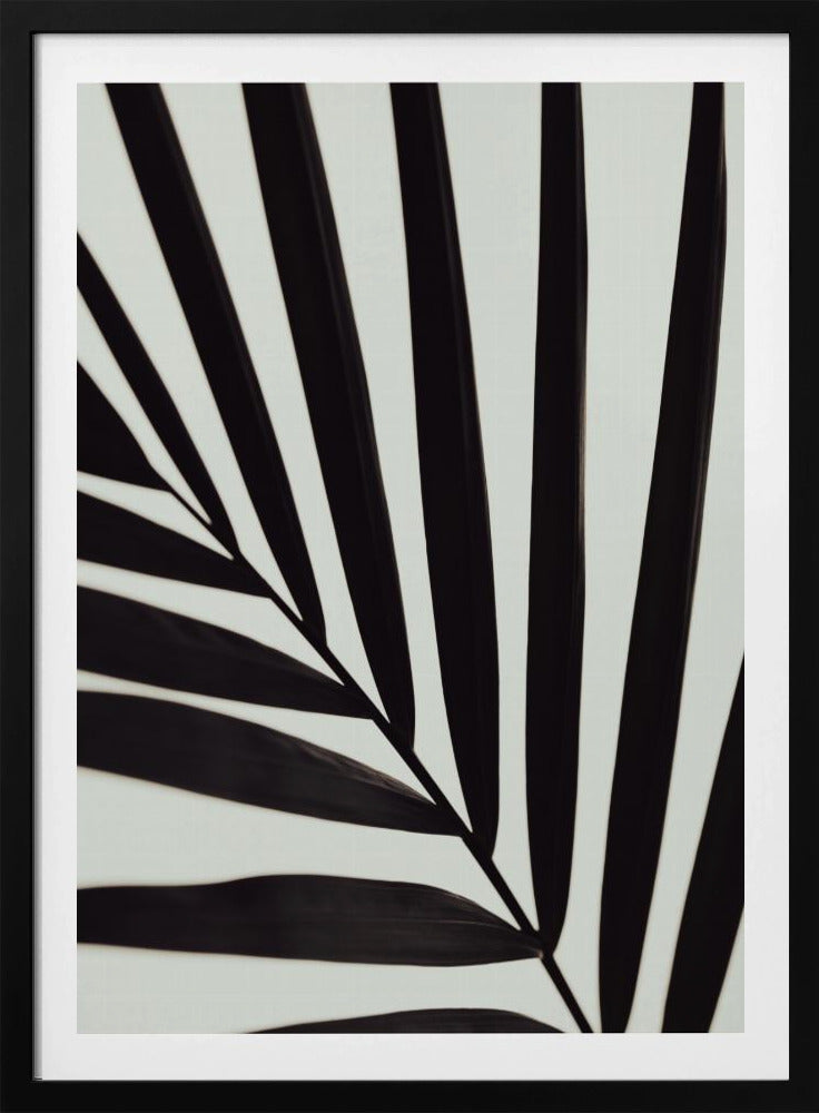 Graphic palm leaf_1 | Poster