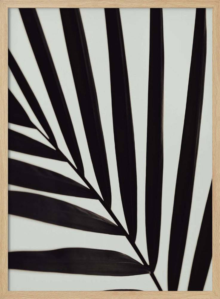 Graphic palm leaf_1 | Poster