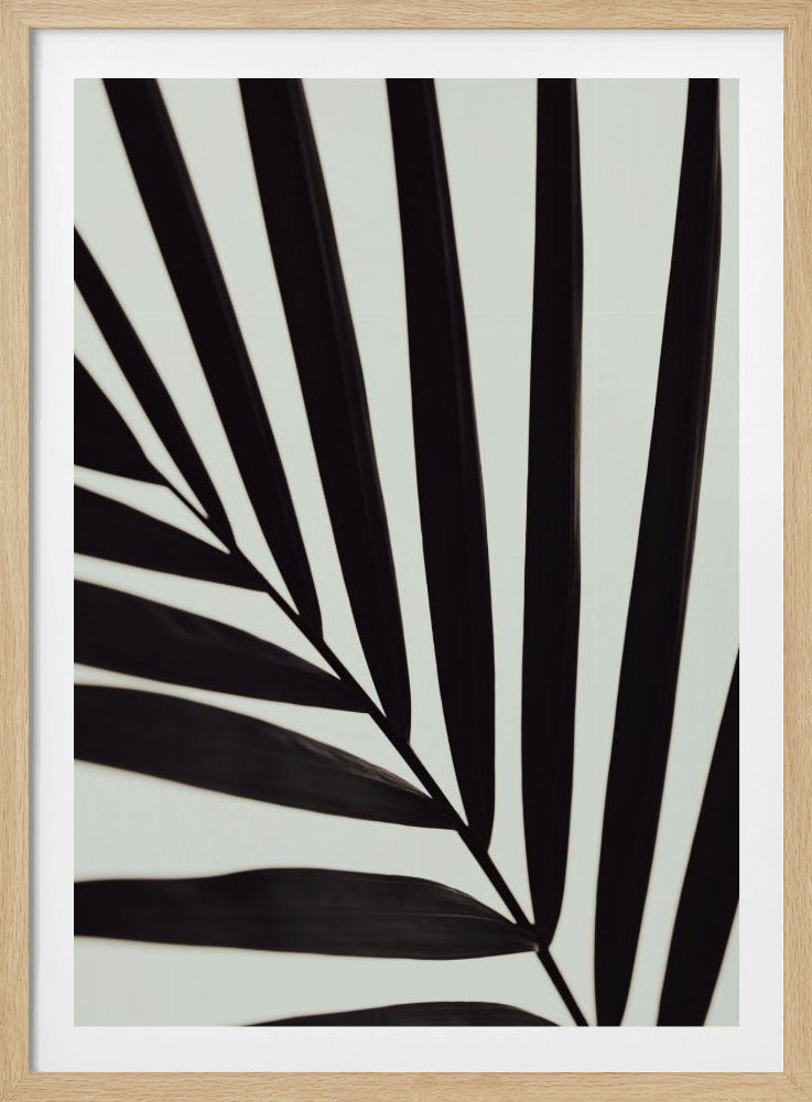 Graphic palm leaf_1 | Poster