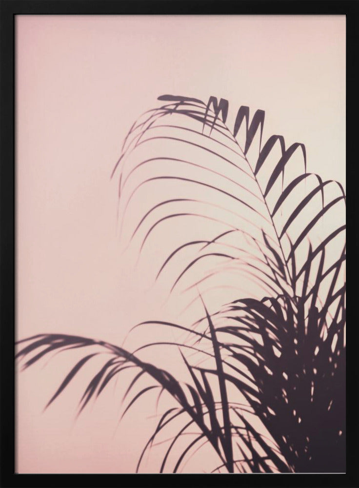 Palm Leaves_1 | Poster