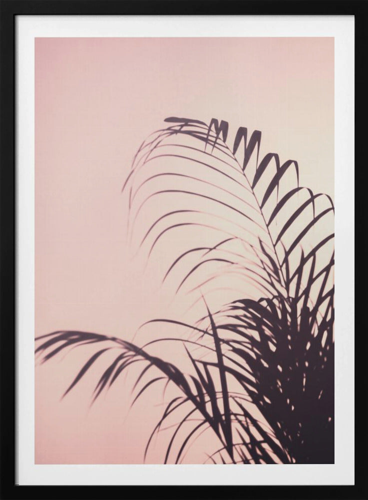 Palm Leaves_1 | Poster