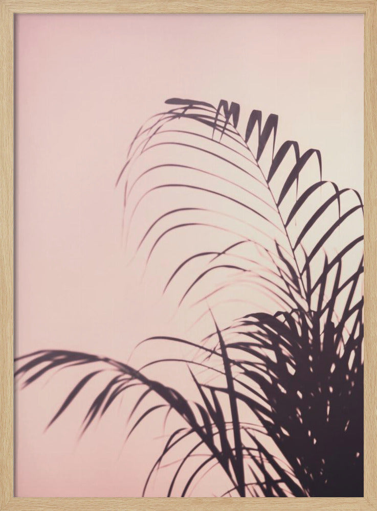 Palm Leaves_1 | Poster