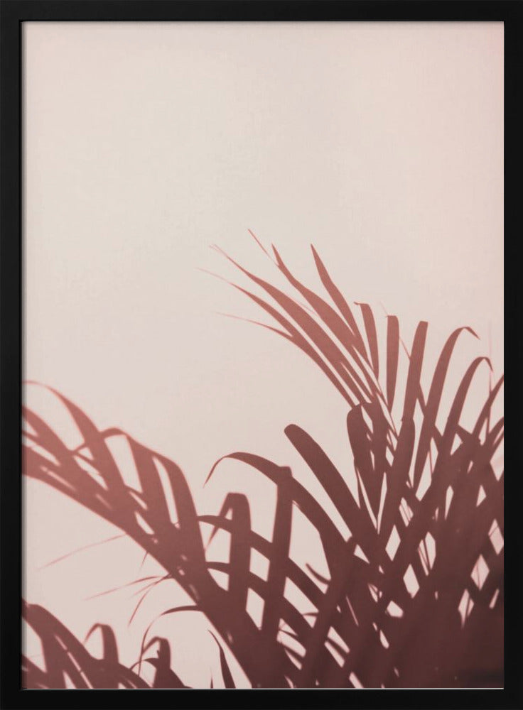 Palm leaves_2 | Poster