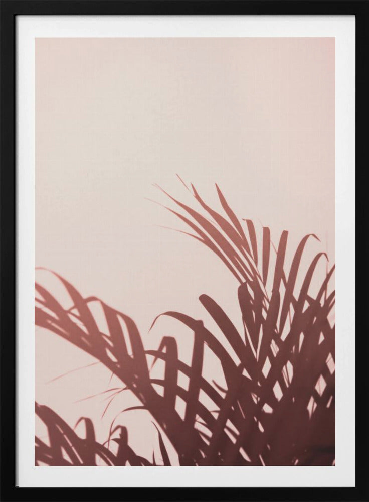 Palm leaves_2 | Poster