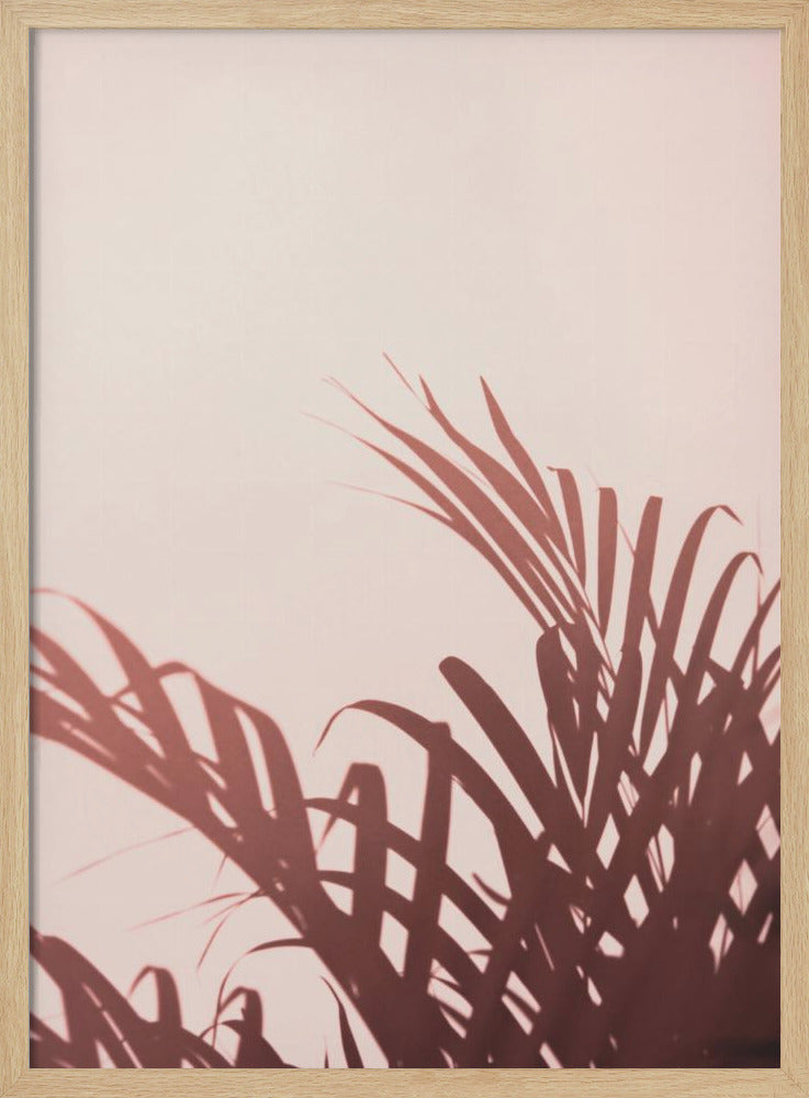 Palm leaves_2 | Poster