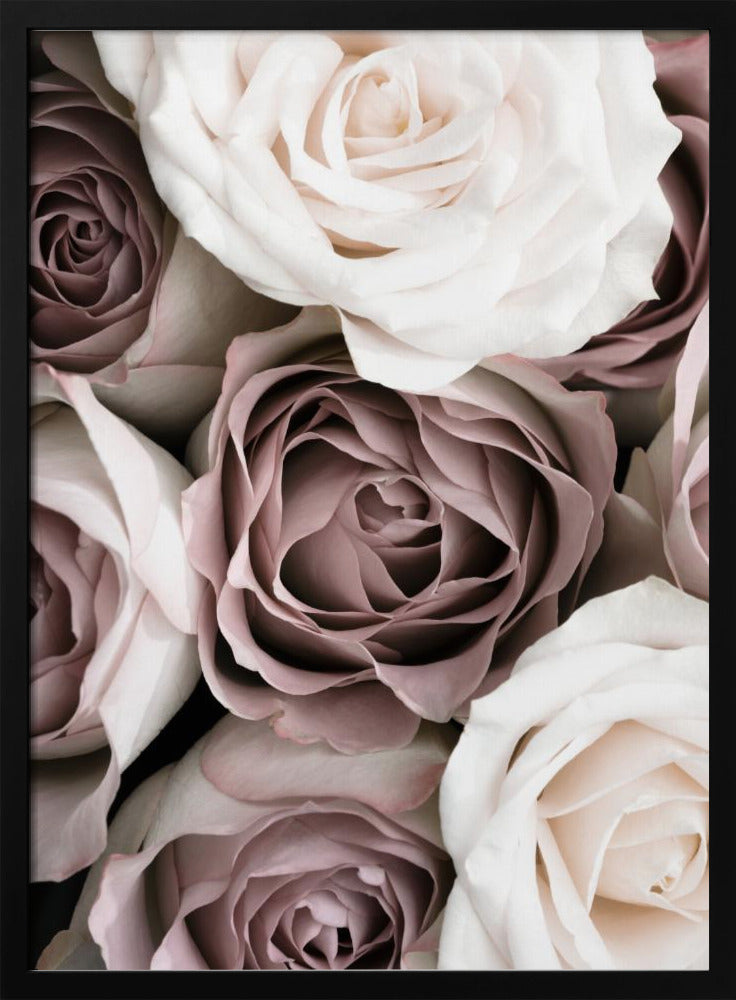 Roses | Poster