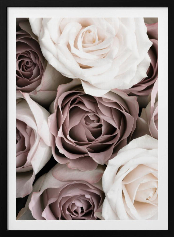 Roses | Poster