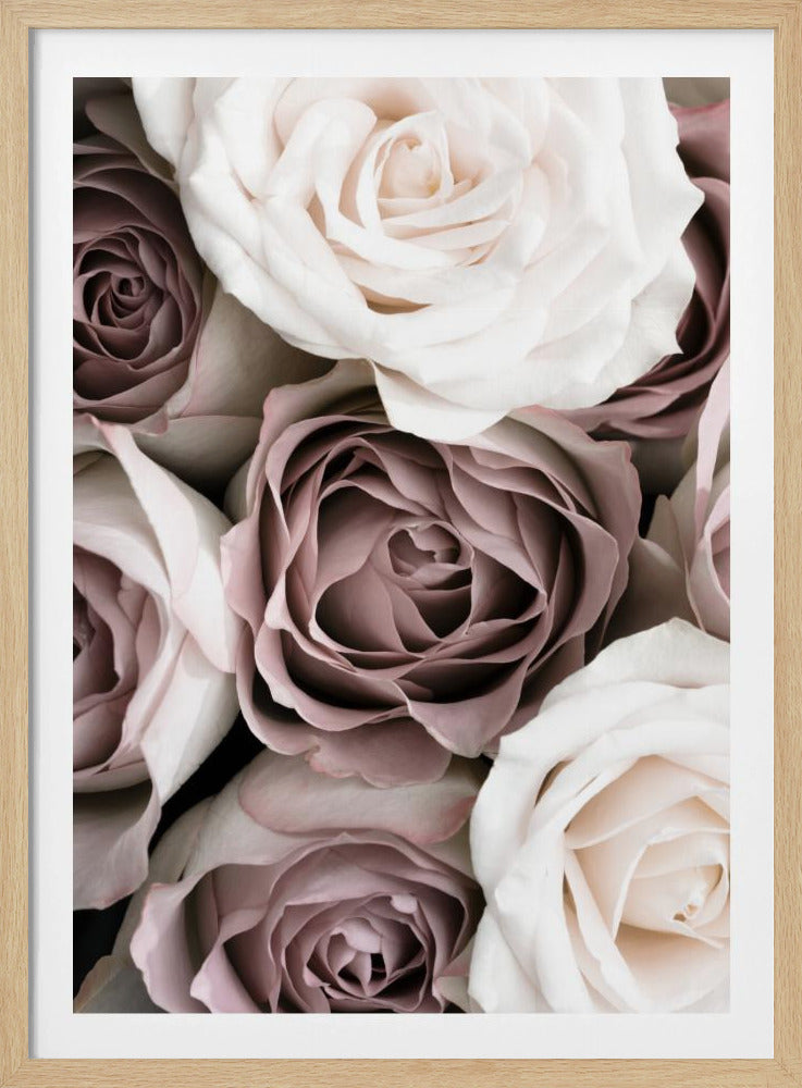 Roses | Poster