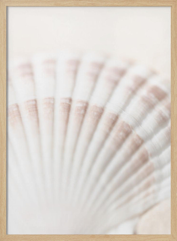 Shell | Poster