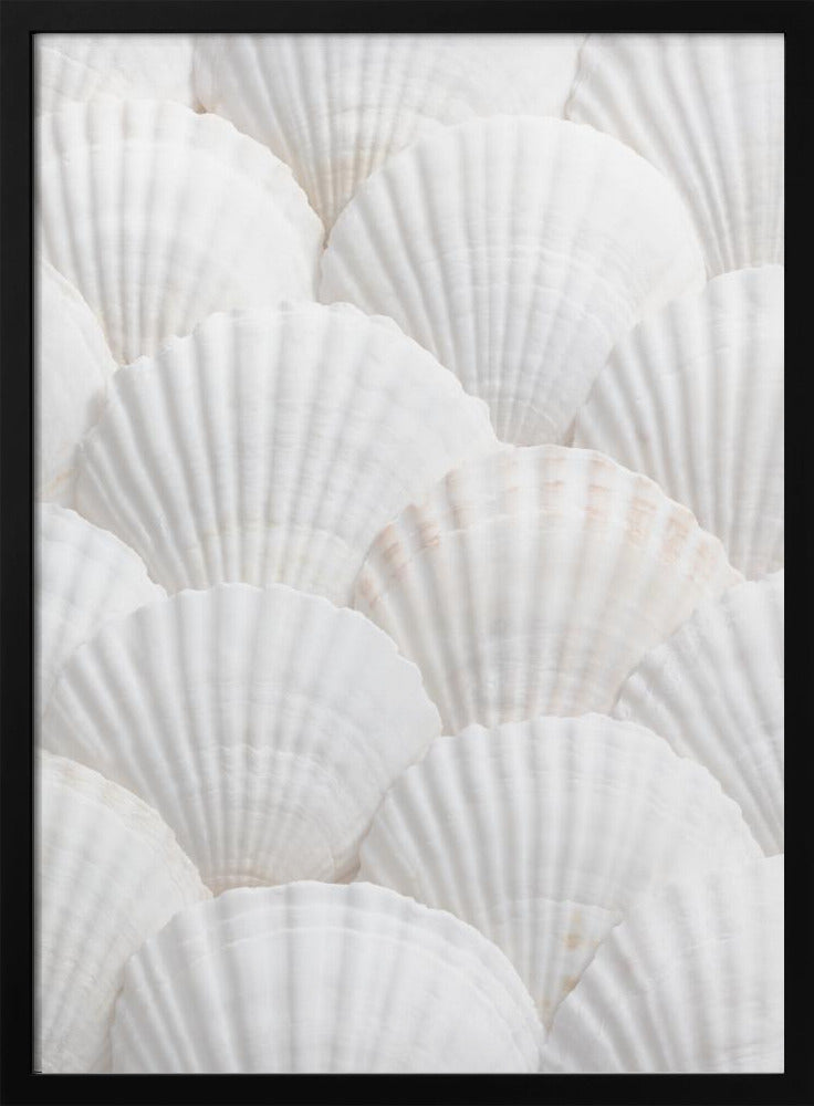 Shells_3 | Poster