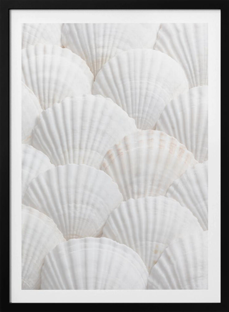 Shells_3 | Poster