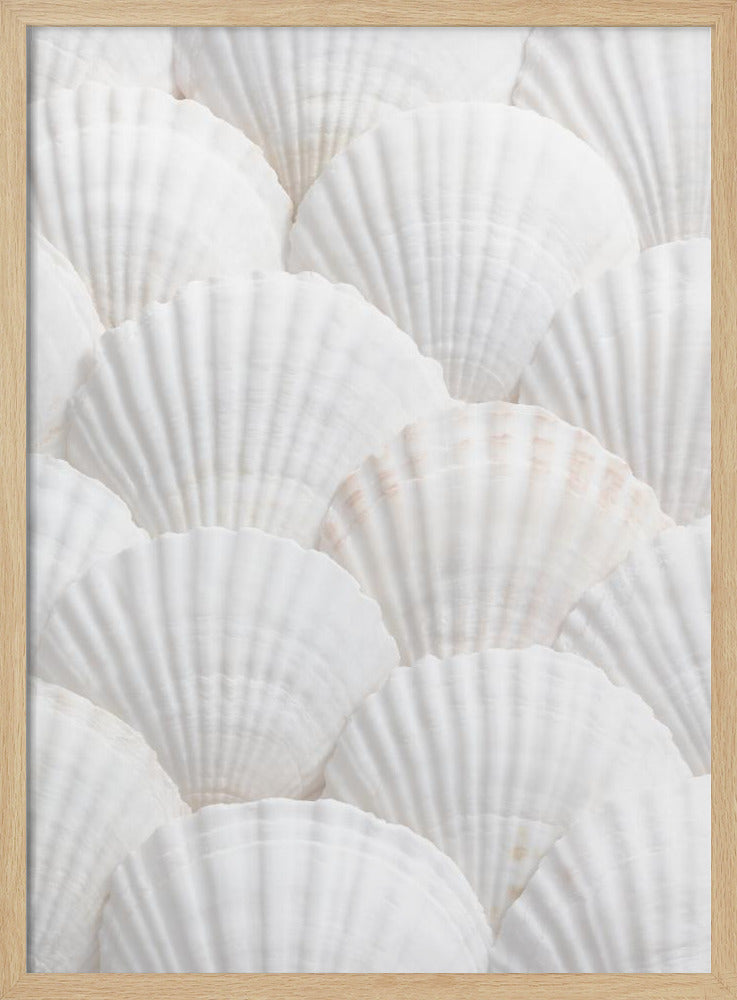 Shells_3 | Poster