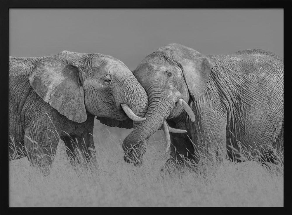 Elephant Flight | Poster