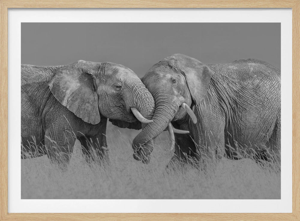 Elephant Flight | Poster