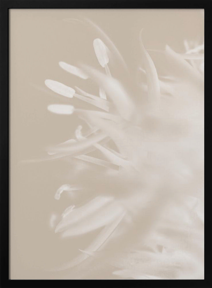 Flower Beige_1 | Poster
