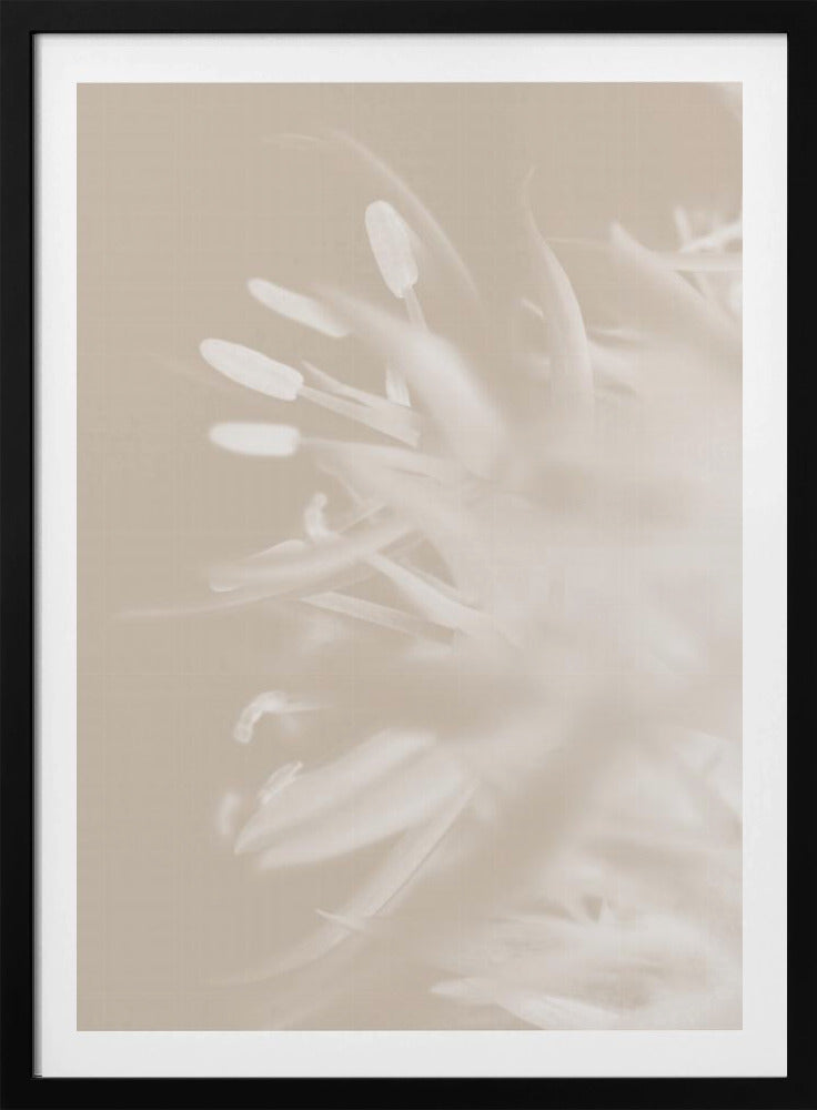 Flower Beige_1 | Poster