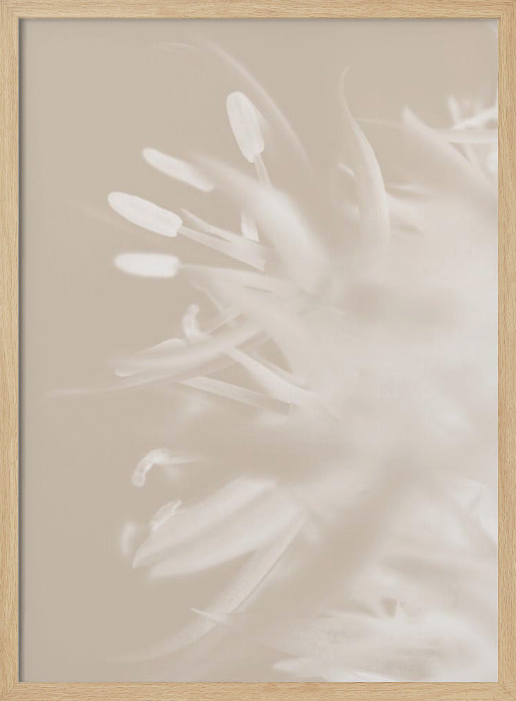 Flower Beige_1 | Poster