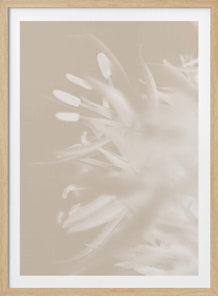 Flower Beige_1 | Poster