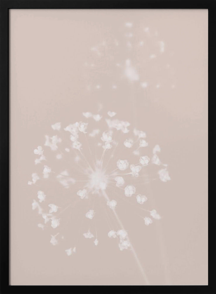 Dried Flower Pink | Poster