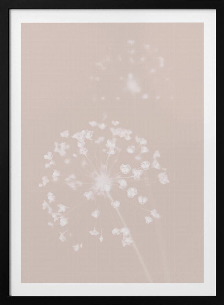 Dried Flower Pink | Poster