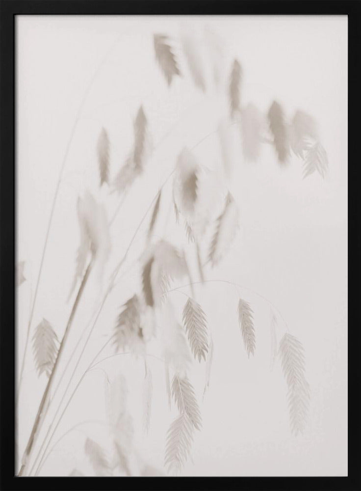 Dried Grass_pink | Poster