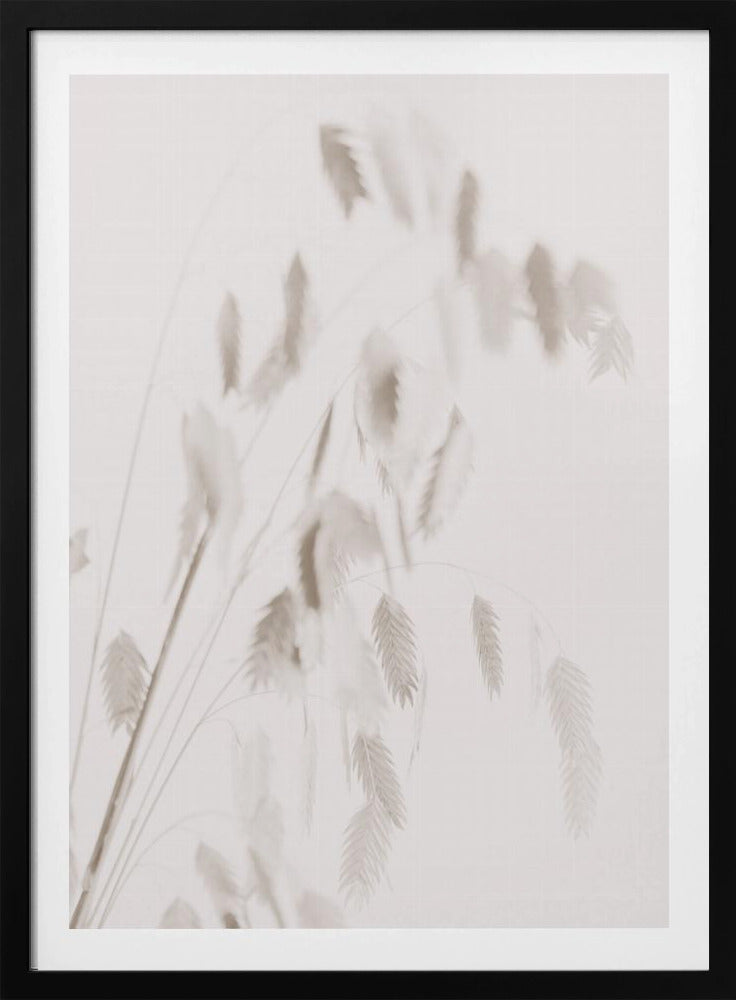 Dried Grass_pink | Poster