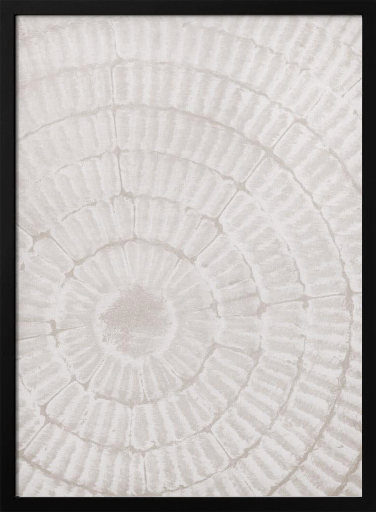 Pattern_plate_1 | Poster