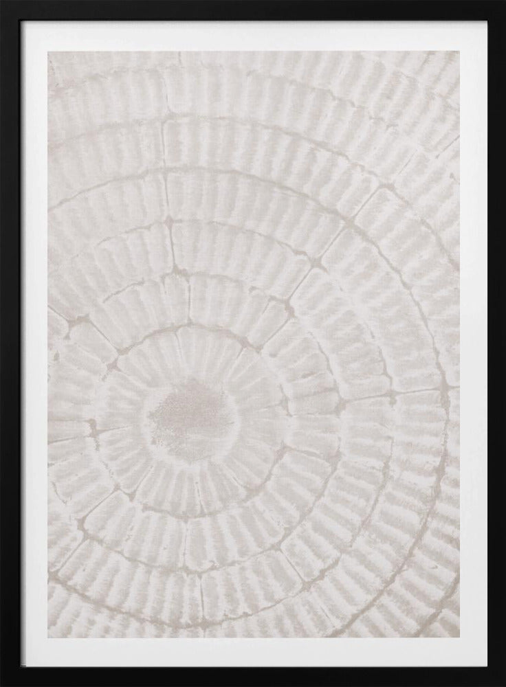 Pattern_plate_1 | Poster