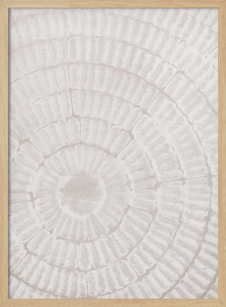 Pattern_plate_1 | Poster