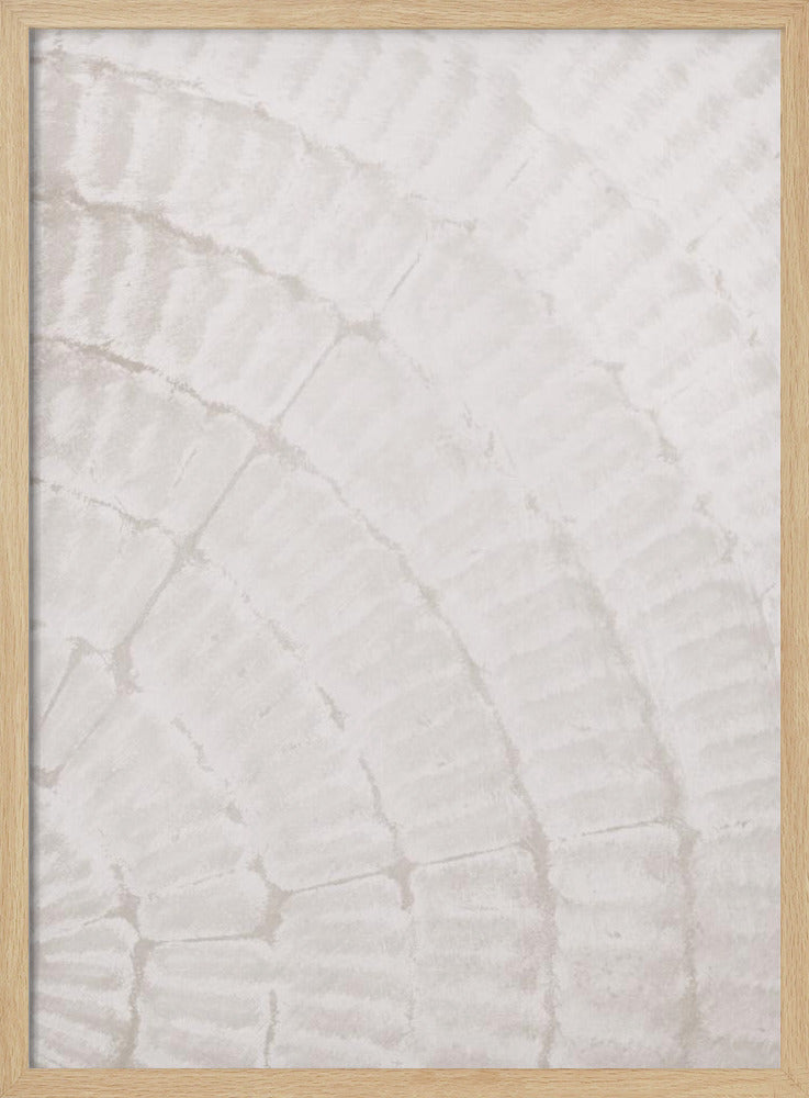 Pattern plate_beige_2 | Poster