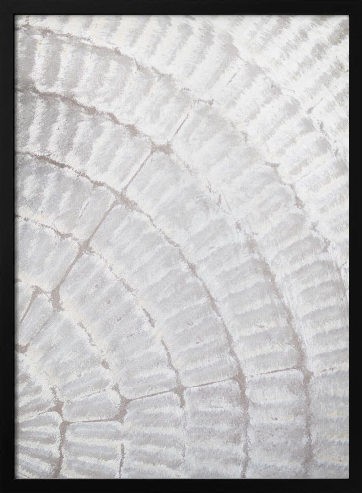 Pattern plate_grey_2 | Poster