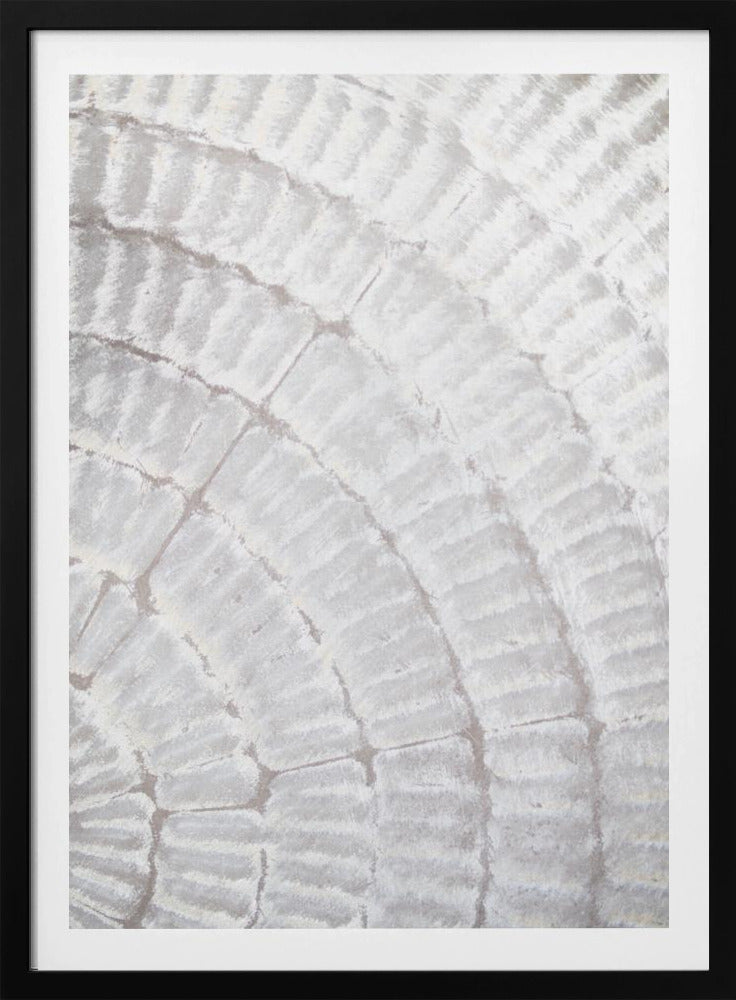 Pattern plate_grey_2 | Poster