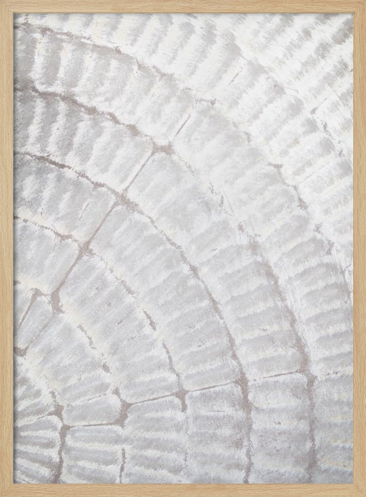 Pattern plate_grey_2 | Poster