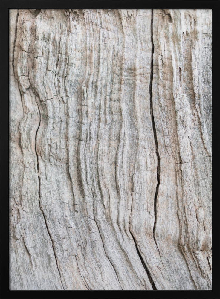 Wood Pattern | Poster