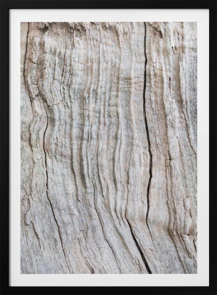 Wood Pattern | Poster