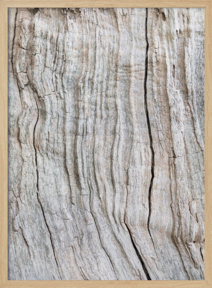 Wood Pattern | Poster